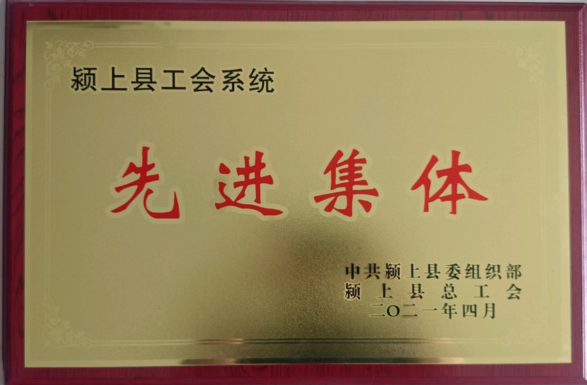 颍上县工会系统先进集体 .jpg